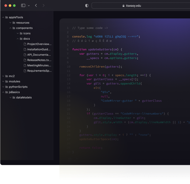 programmer